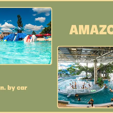 酒店 帝国酒店 蒂米什瓦拉