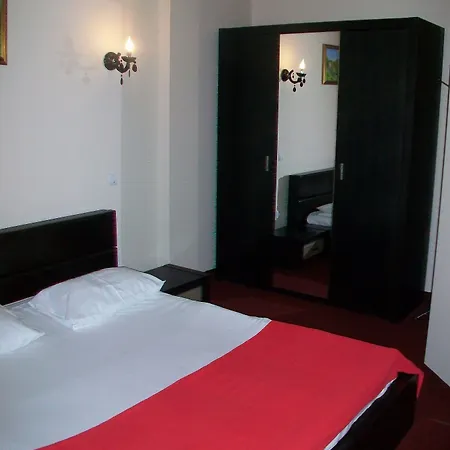 帝国酒店 酒店 蒂米什瓦拉