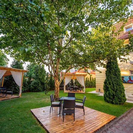 酒店 帝国酒店 蒂米什瓦拉