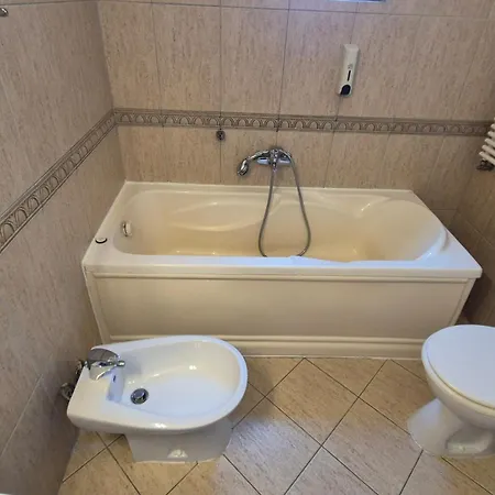 Hotel Imperial Temešvár